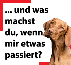 Erste Hilfe am Hund 20250518
